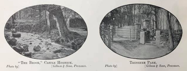 'The Brook,' Castle Horneck and Treneere Park