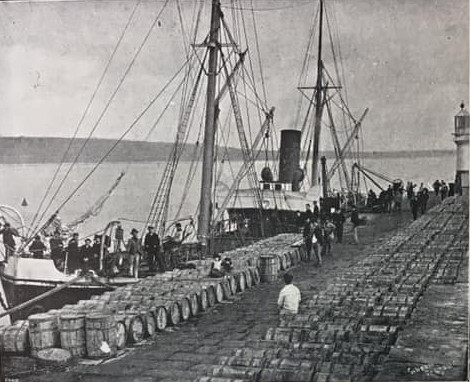 The Pier Head-Pilchards for Italy