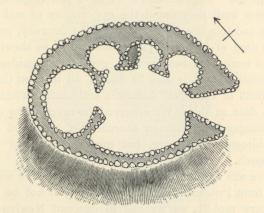 Plan of Hut, Chysauster