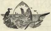 fanciful sketch incorporating fishing boats and gulls
