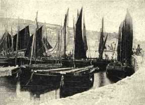 Boats in harbour